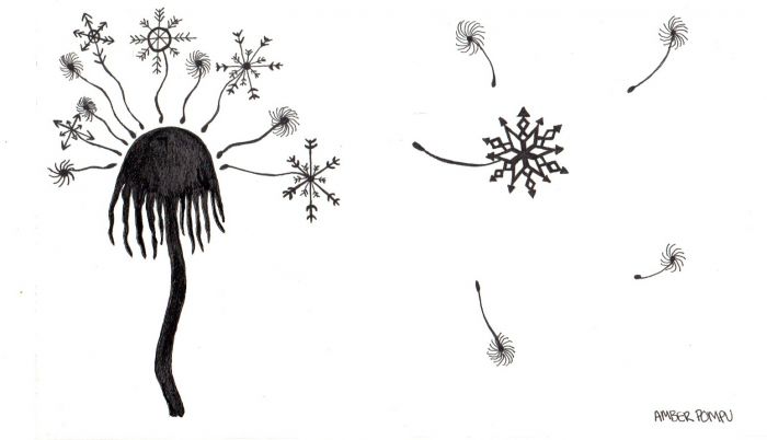 Snowflake Dandelion by Amber Pompu